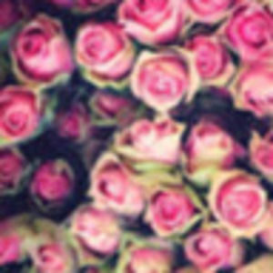 Meet your Posher, Katelynn